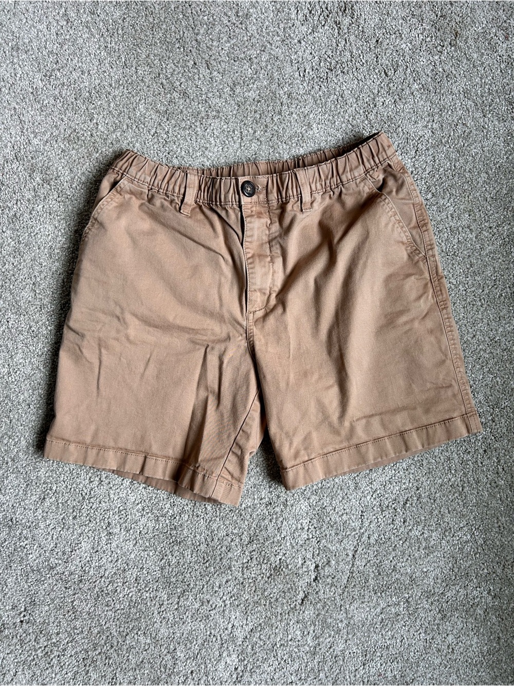 chubbies Casual Shorts